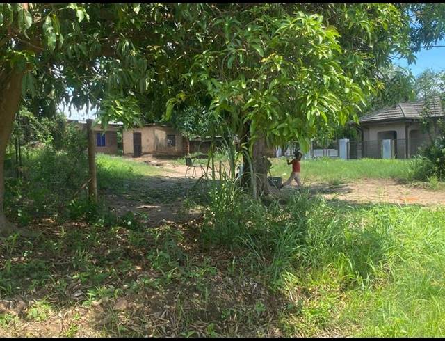 LAND FOR SALE IN SHAYANDIMA